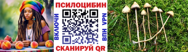 Псилоцибиновые грибы прущие грибы  Городец 